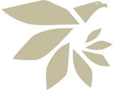 ViMond Realty emblem